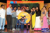 Uyyala Jampala Movie Audio Release Photos